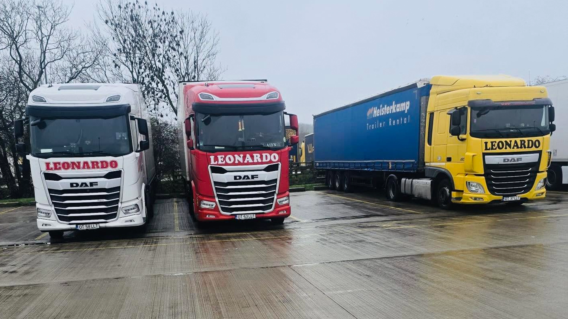 Camioanele DAF ce apartin companiei Leonardo Leon Trans fotografiate impreuna intr-o parcare din Europa